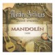 Medina Artigas 1400 Struny do mandoliny
